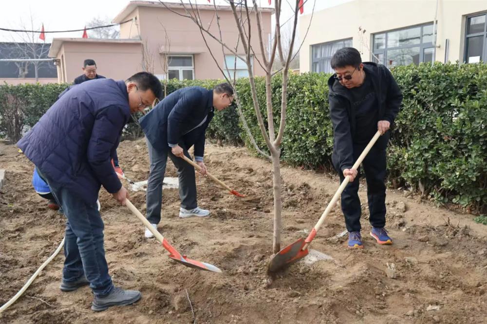 中电建冀交高投公司积极开展植树节活动