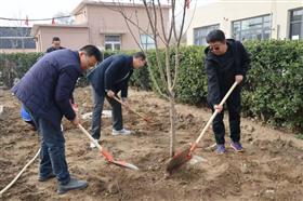 标题:中电建冀交高投公司积极开展植树节活动<br/>说明:<br/>日期:2025/3/17 9:10:56